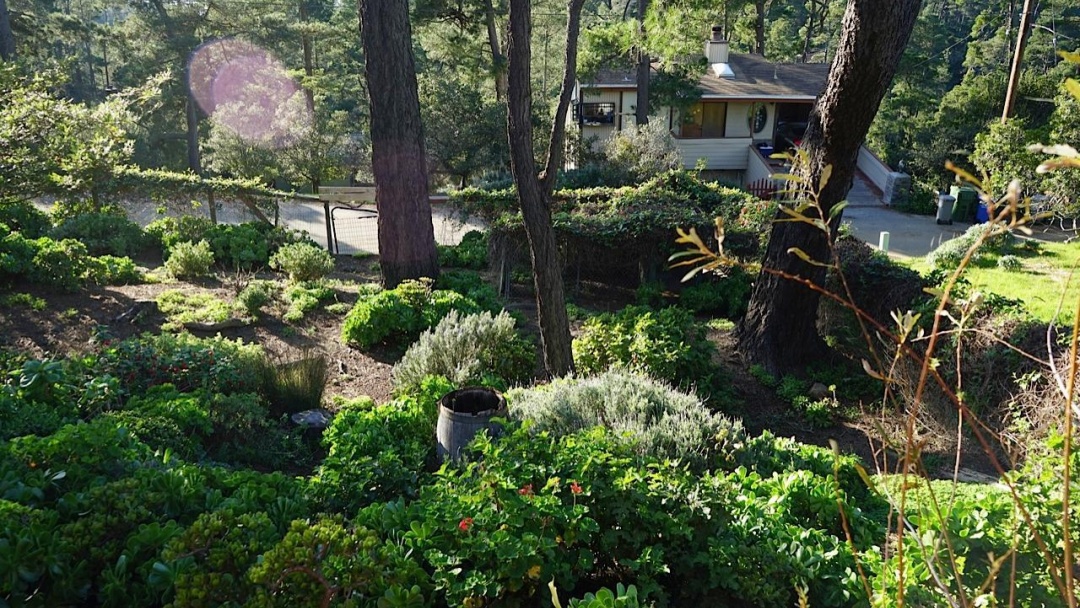 1696 Pierce Ave, Cambria, California 93428, 2 Bedrooms Bedrooms, ,3 BathroomsBathrooms,Home,Sold,Pierce,1000