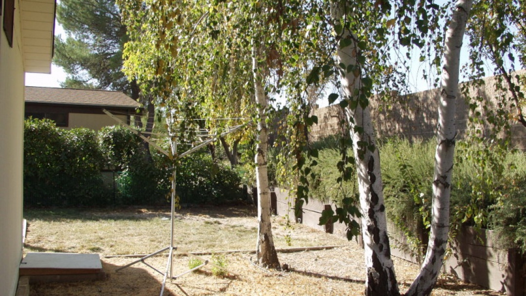 230 Lark Dr,Paso Robles,California 93446,2 Bedrooms Bedrooms,2 BathroomsBathrooms,Home,Lark,1007