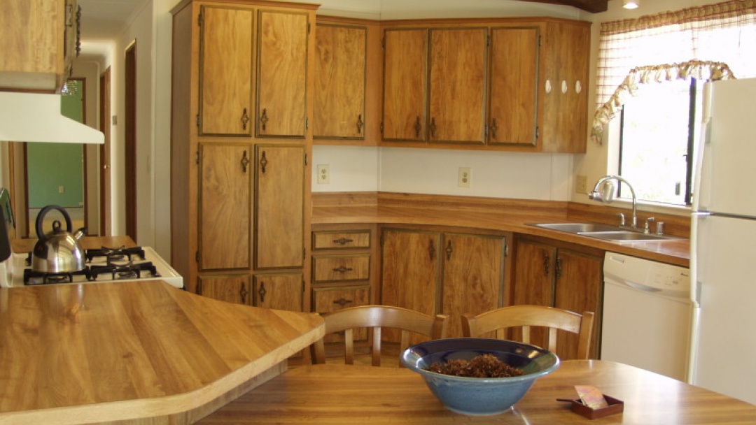 230 Lark Dr,Paso Robles,California 93446,2 Bedrooms Bedrooms,2 BathroomsBathrooms,Home,Lark,1007