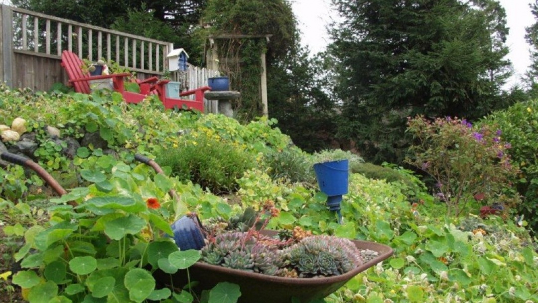 2800 Margate Ave,Cambria,California 93428,2 Bedrooms Bedrooms,2 BathroomsBathrooms,Home,Margate,1008