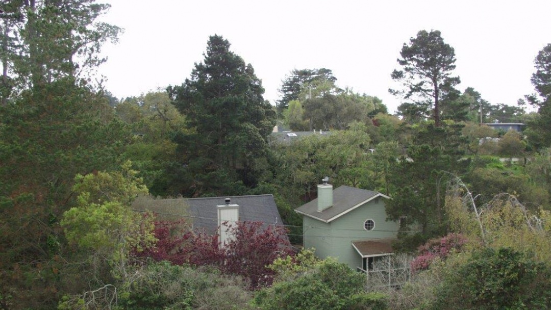 2818 Margate Ave,Cambria,California 93428,3 Bedrooms Bedrooms,3 BathroomsBathrooms,Home,Margate,1009