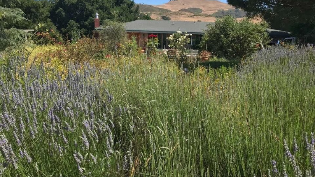 5078 Santa Rosa Creek Rd, Cambria, California 93428, 4 Bedrooms Bedrooms, ,3 BathroomsBathrooms,Home,Sold,Santa Rosa Creek Rd,1019