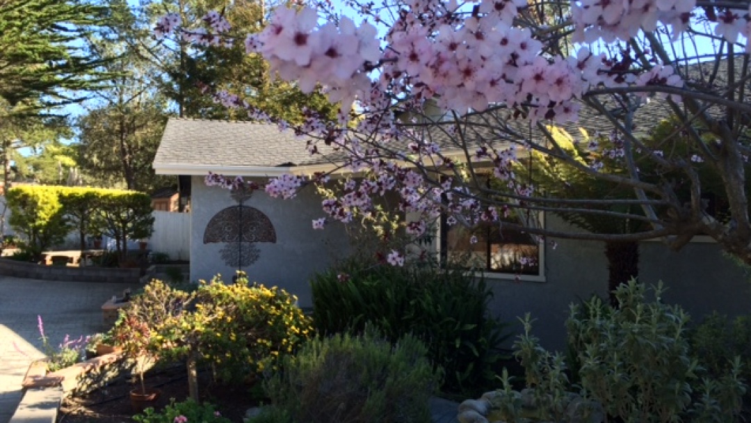 620 Exeter Ln,Cambria,California 93428,3 Bedrooms Bedrooms,3 BathroomsBathrooms,Home,Exeter,1005