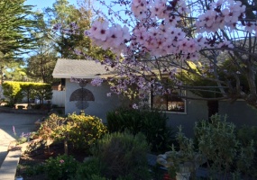 620 Exeter Ln,Cambria,California 93428,3 Bedrooms Bedrooms,3 BathroomsBathrooms,Home,Exeter,1005