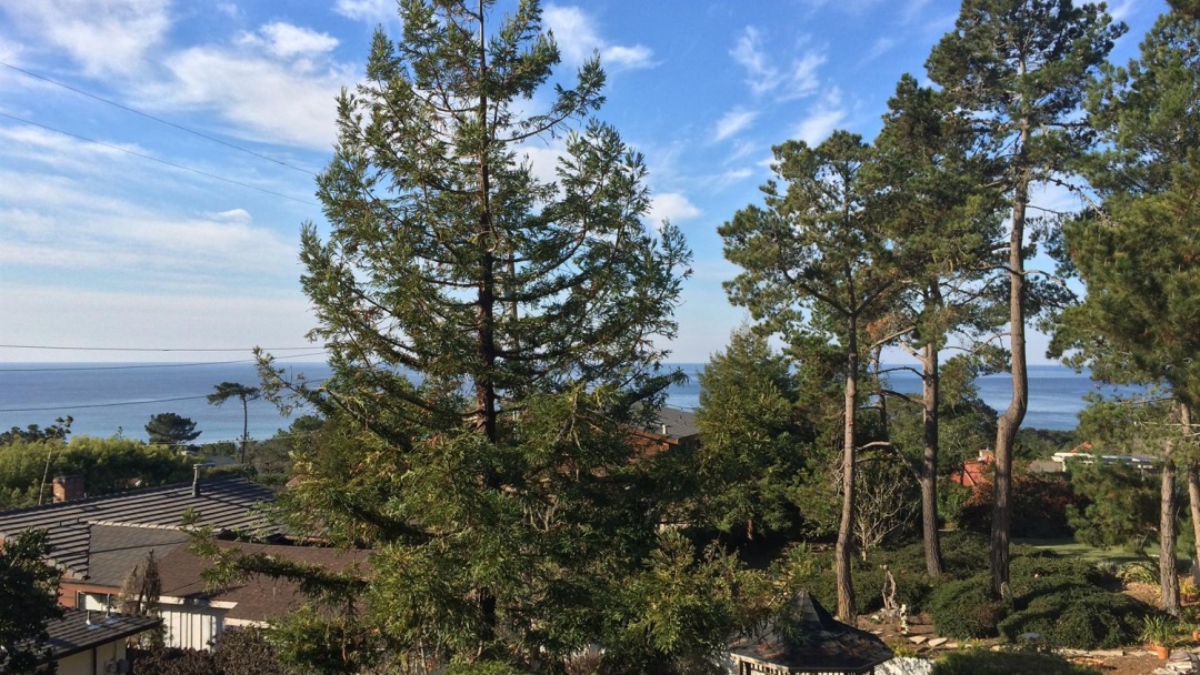 620 Exeter Ln,Cambria,California 93428,3 Bedrooms Bedrooms,3 BathroomsBathrooms,Home,Exeter,1005
